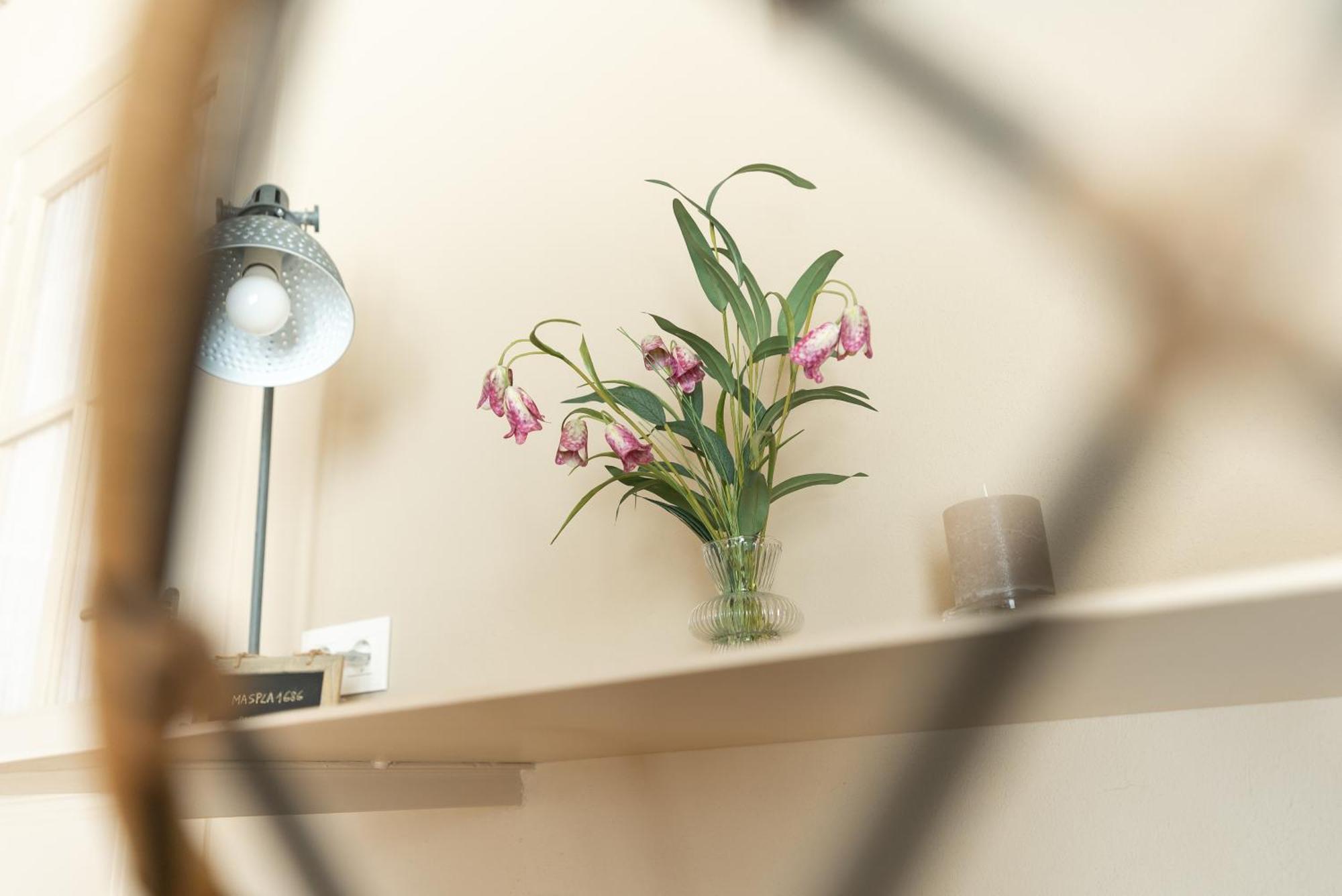 Mas Pla Bed & Breakfast Riudellots de la Selva